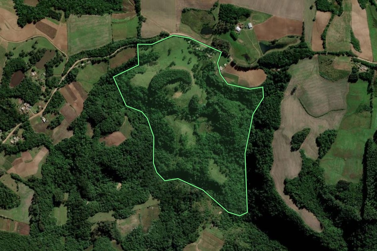 Imagem de satélite do imóvel rural em Cerro Branco (RS), com o contorno declarado no CAR desenhado por cima.