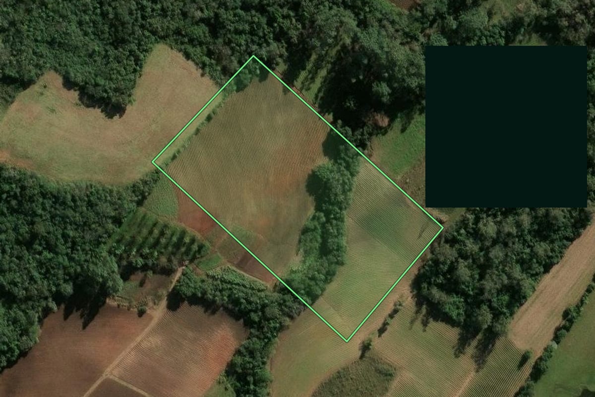 Imagem de satélite do imóvel rural em Cerro Branco (RS), com o contorno declarado no CAR desenhado por cima.