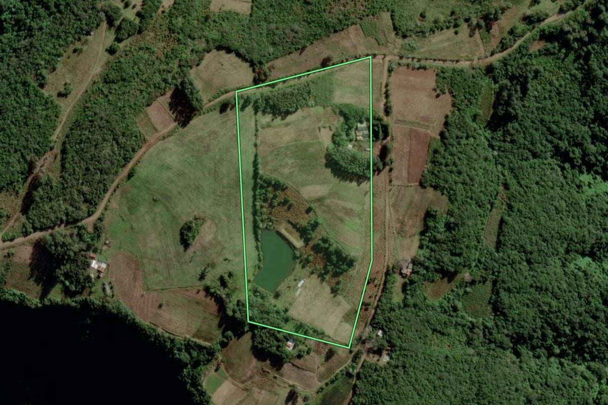 Imagem de satélite do imóvel rural em Cerro Branco (RS), com o contorno declarado no CAR desenhado por cima.