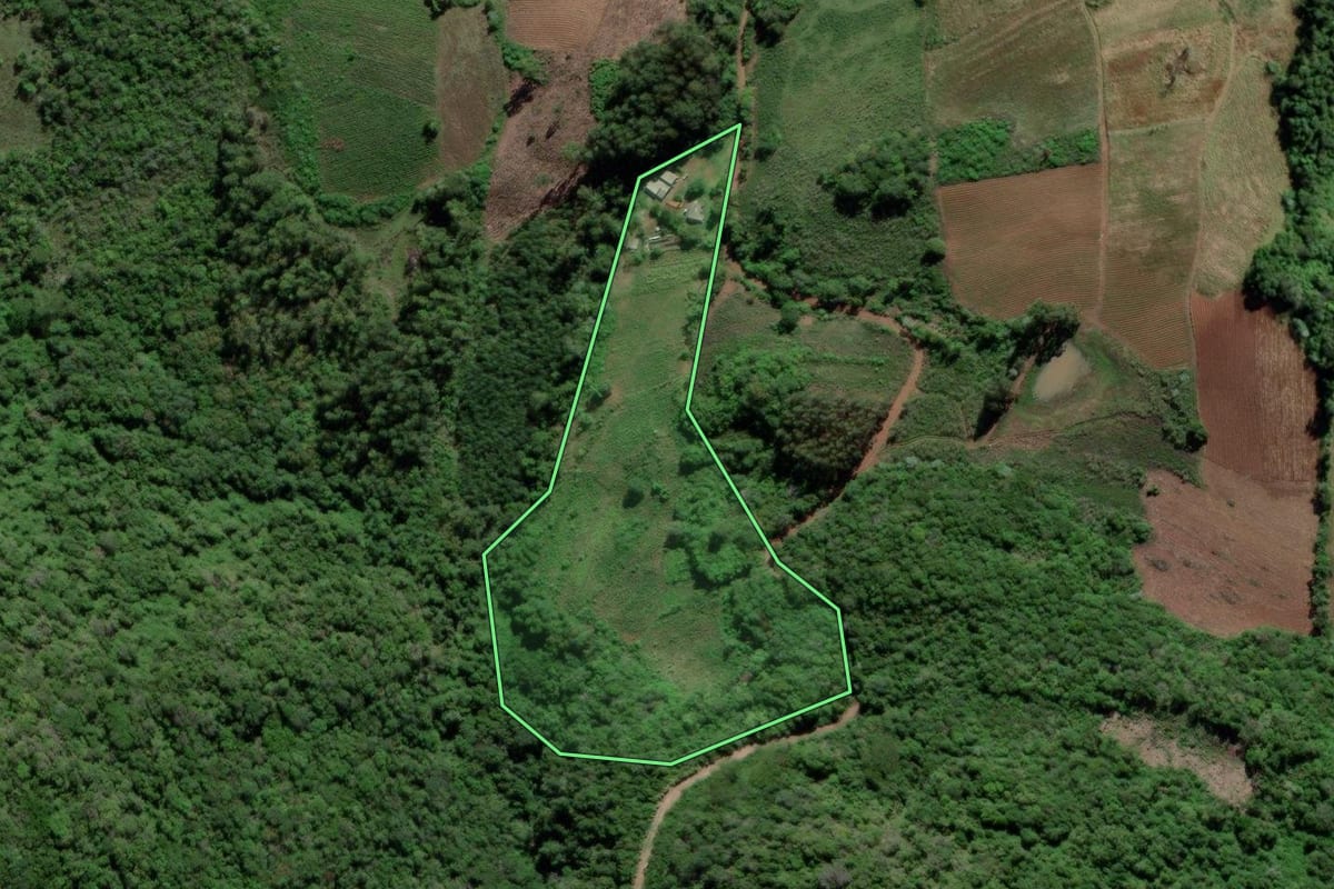 Imagem de satélite do imóvel rural em Cerro Branco (RS), com o contorno declarado no CAR desenhado por cima.
