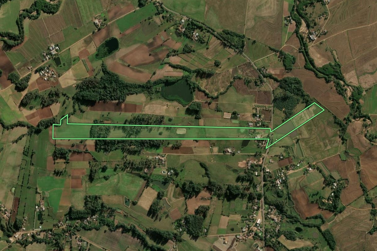 Imagem de satélite do imóvel rural em Cerro Branco (RS), com o contorno declarado no CAR desenhado por cima.