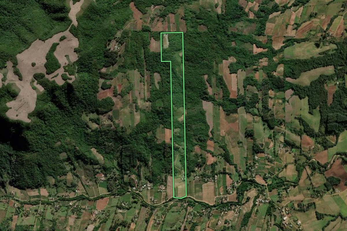 Imagem de satélite do imóvel rural em Cerro Branco (RS), com o contorno declarado no CAR desenhado por cima.