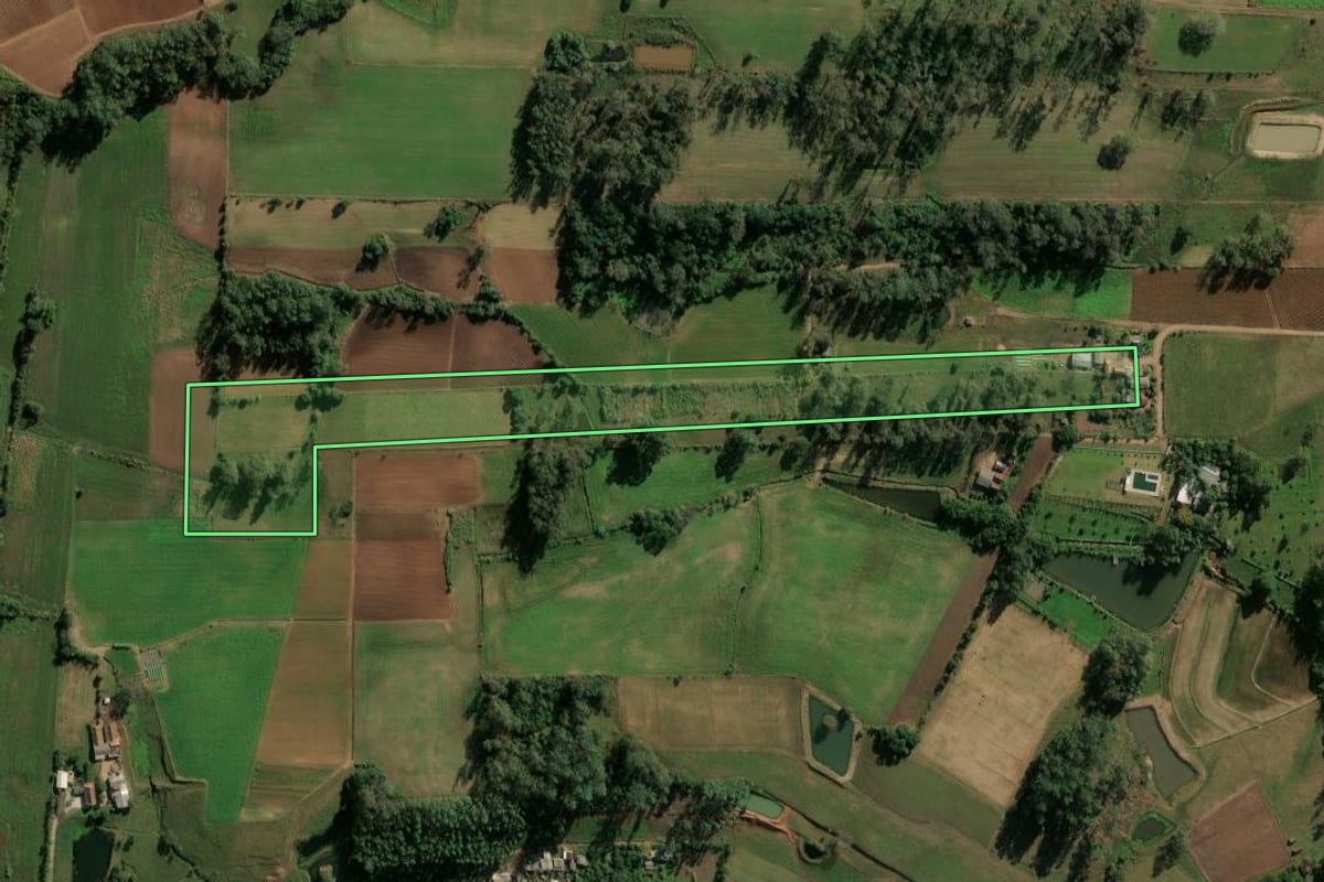 Imagem de satélite do imóvel rural em Cerro Branco (RS), com o contorno declarado no CAR desenhado por cima.