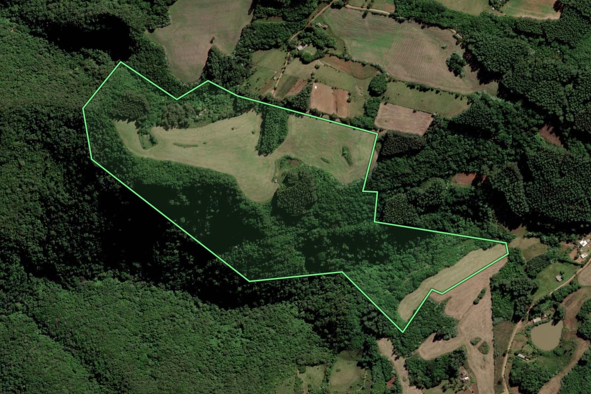 Imagem de satélite do imóvel rural em Cerro Branco (RS), com o contorno declarado no CAR desenhado por cima.