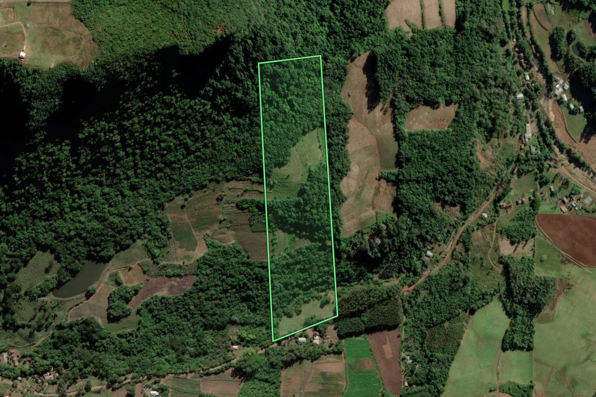 Imagem de satélite do imóvel rural em Cerro Branco (RS), com o contorno declarado no CAR desenhado por cima.