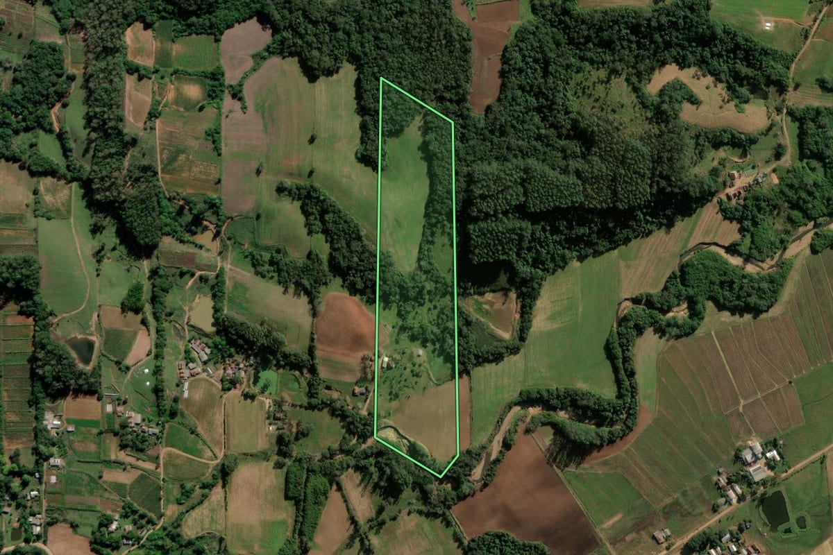 Imagem de satélite do imóvel rural em Cerro Branco (RS), com o contorno declarado no CAR desenhado por cima.