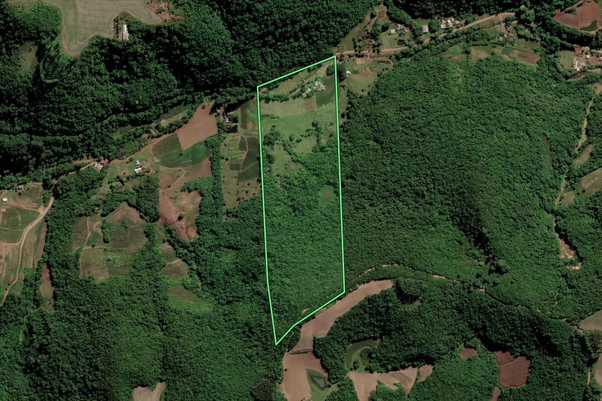 Imagem de satélite do imóvel rural em Cerro Branco (RS), com o contorno declarado no CAR desenhado por cima.