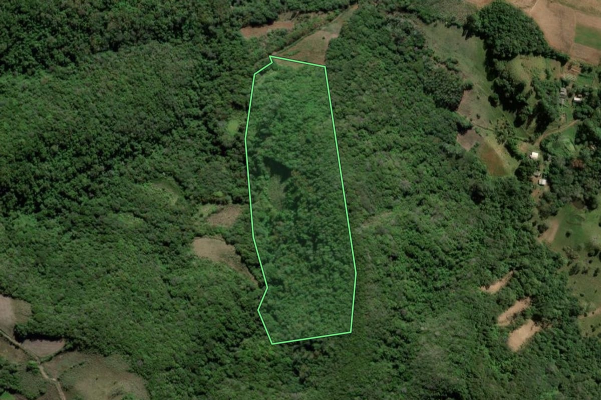 Imagem de satélite do imóvel rural em Cerro Branco (RS), com o contorno declarado no CAR desenhado por cima.