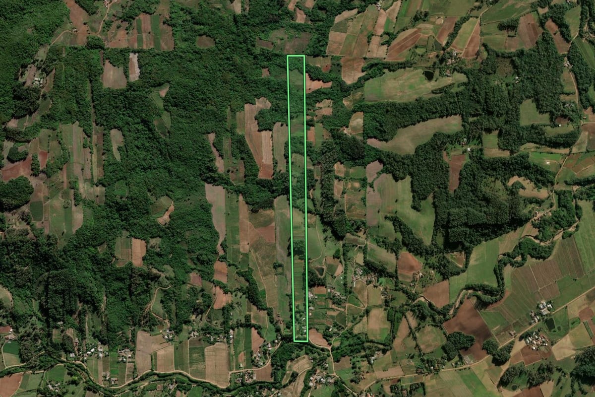 Imagem de satélite do imóvel rural em Cerro Branco (RS), com o contorno declarado no CAR desenhado por cima.