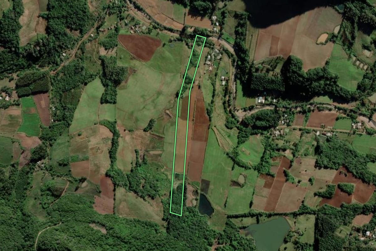 Imagem de satélite do imóvel rural em Cerro Branco (RS), com o contorno declarado no CAR desenhado por cima.