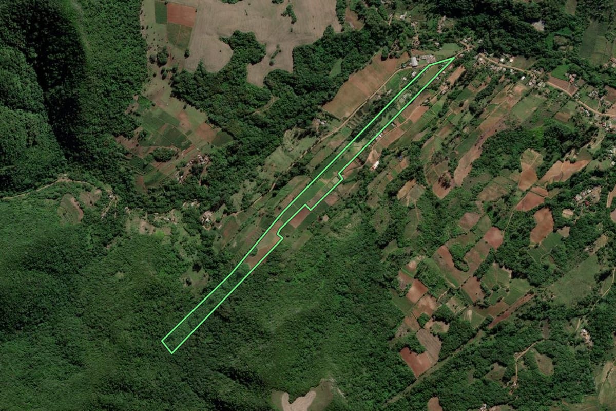 Imagem de satélite do imóvel rural em Cerro Branco (RS), com o contorno declarado no CAR desenhado por cima.