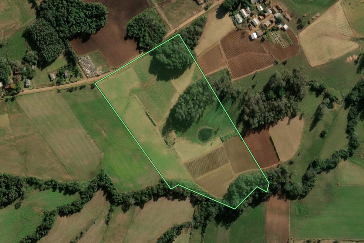 Imagem de satélite do imóvel rural em Cerro Branco (RS), com o contorno declarado no CAR desenhado por cima.