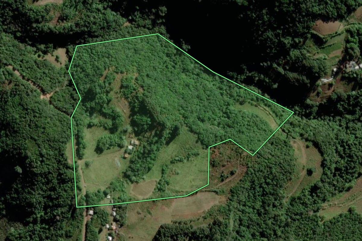 Imagem de satélite do imóvel rural em Cerro Branco (RS), com o contorno declarado no CAR desenhado por cima.