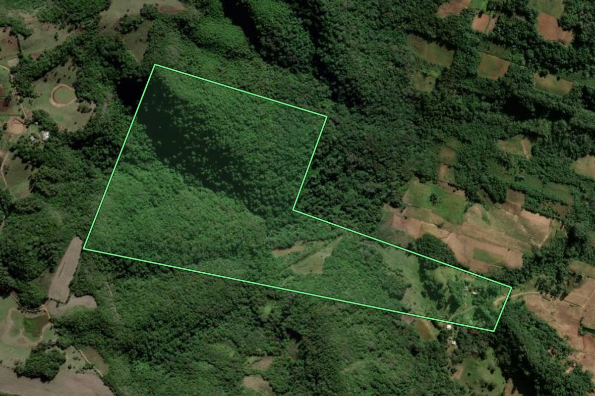 Imagem de satélite do imóvel rural em Cerro Branco (RS), com o contorno declarado no CAR desenhado por cima.