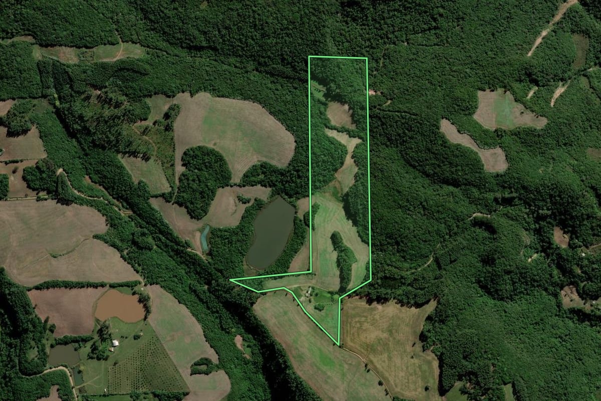 Imagem de satélite do imóvel rural em Cerro Branco (RS), com o contorno declarado no CAR desenhado por cima.