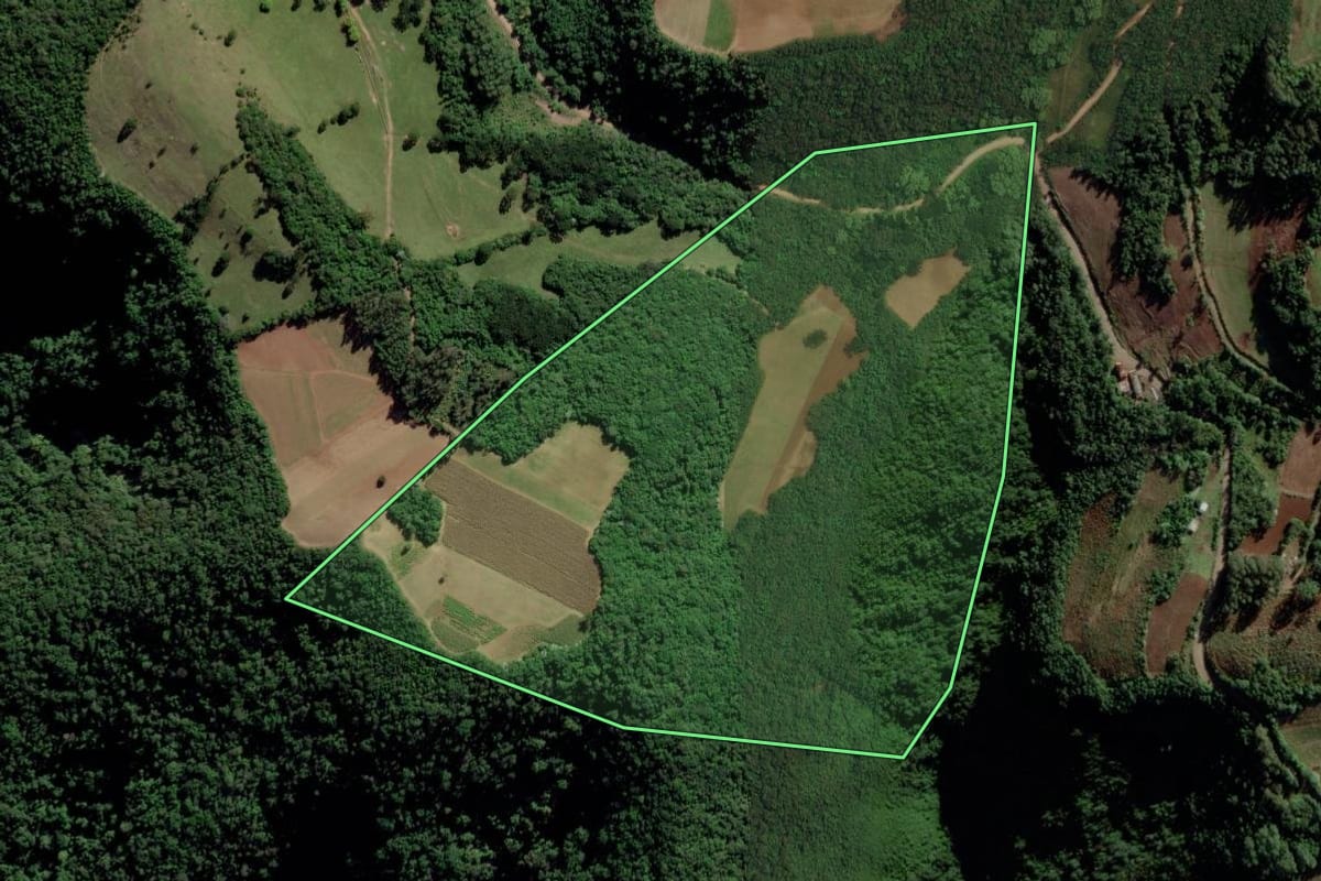 Imagem de satélite do imóvel rural em Cerro Branco (RS), com o contorno declarado no CAR desenhado por cima.