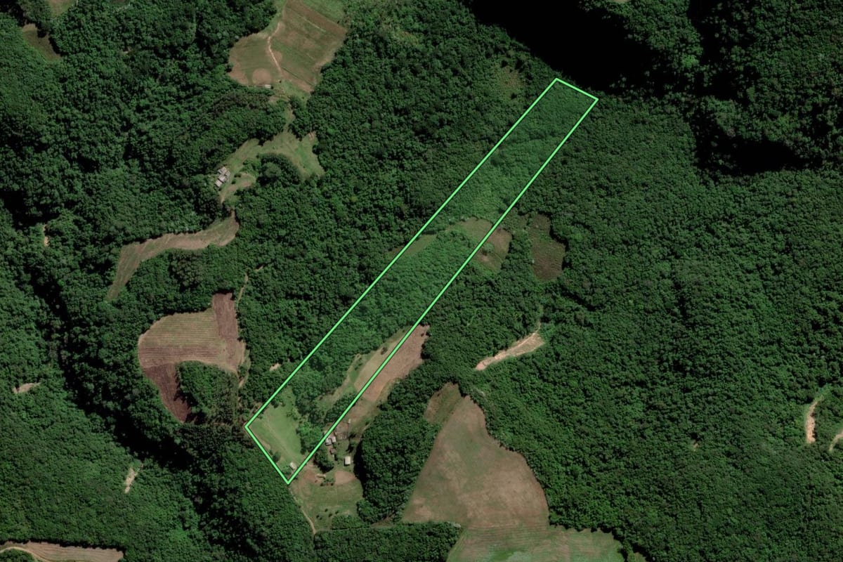 Imagem de satélite do imóvel rural em Cerro Branco (RS), com o contorno declarado no CAR desenhado por cima.