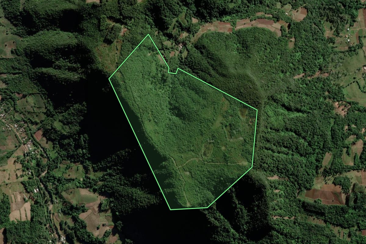 Imagem de satélite do imóvel rural em Cerro Branco (RS), com o contorno declarado no CAR desenhado por cima.