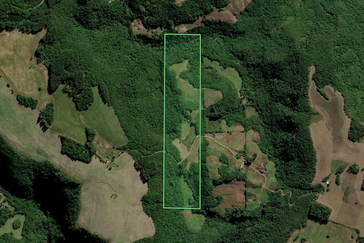 Imagem de satélite do imóvel rural em Cerro Branco (RS), com o contorno declarado no CAR desenhado por cima.