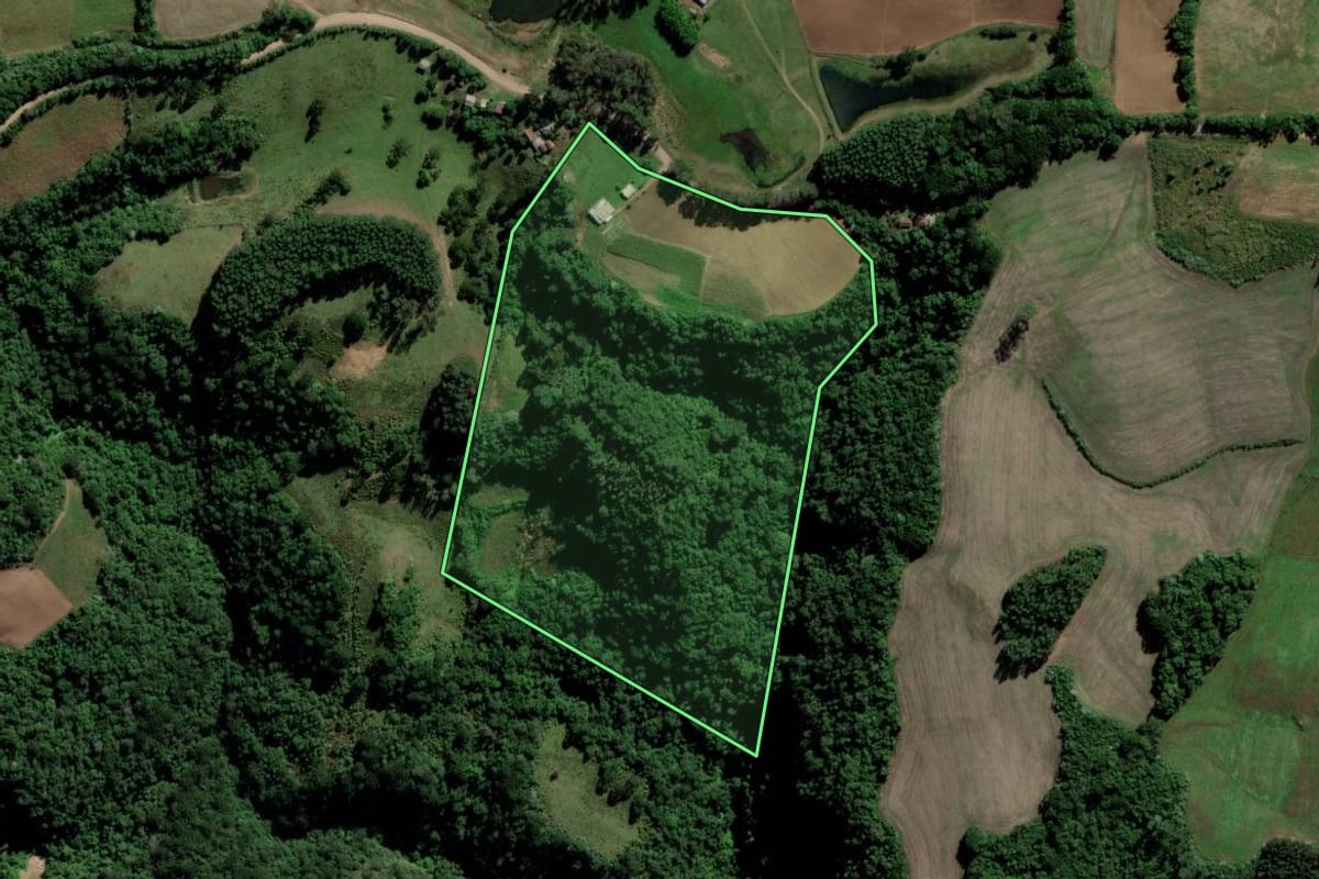 Imagem de satélite do imóvel rural em Cerro Branco (RS), com o contorno declarado no CAR desenhado por cima.