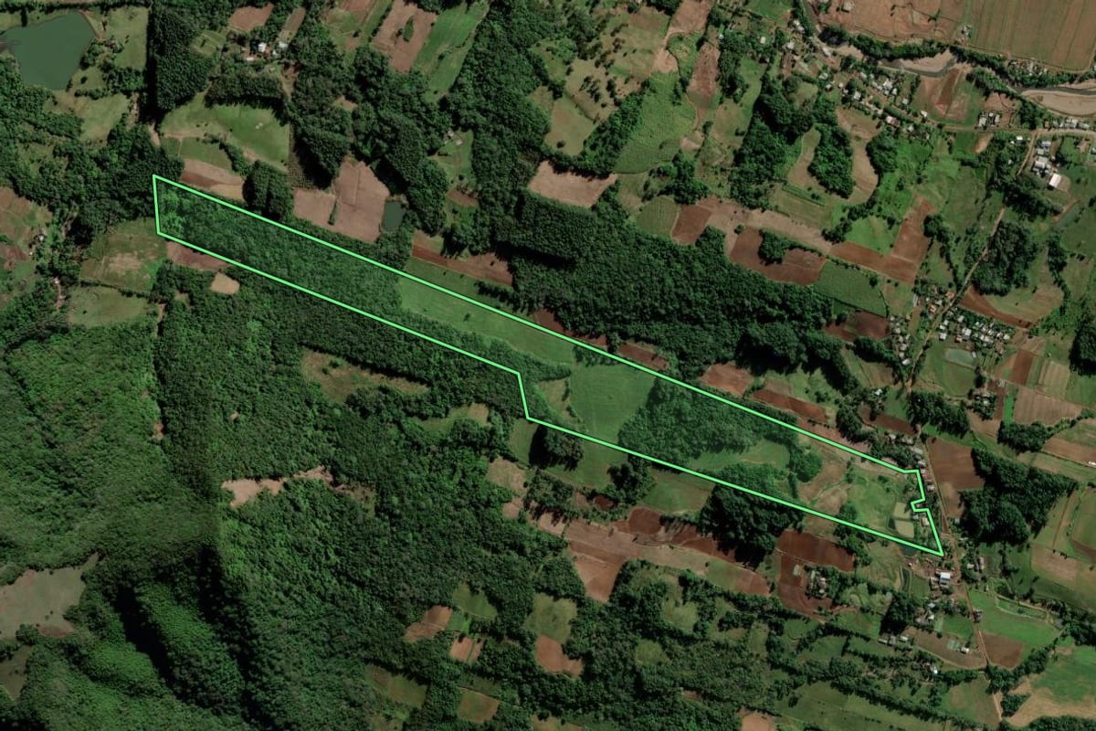 Imagem de satélite do imóvel rural em Cerro Branco (RS), com o contorno declarado no CAR desenhado por cima.