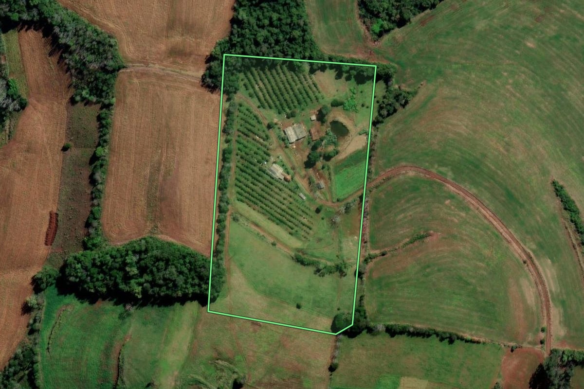 Imagem de satélite do imóvel rural em Cerro Grande (RS), com o contorno declarado no CAR desenhado por cima.