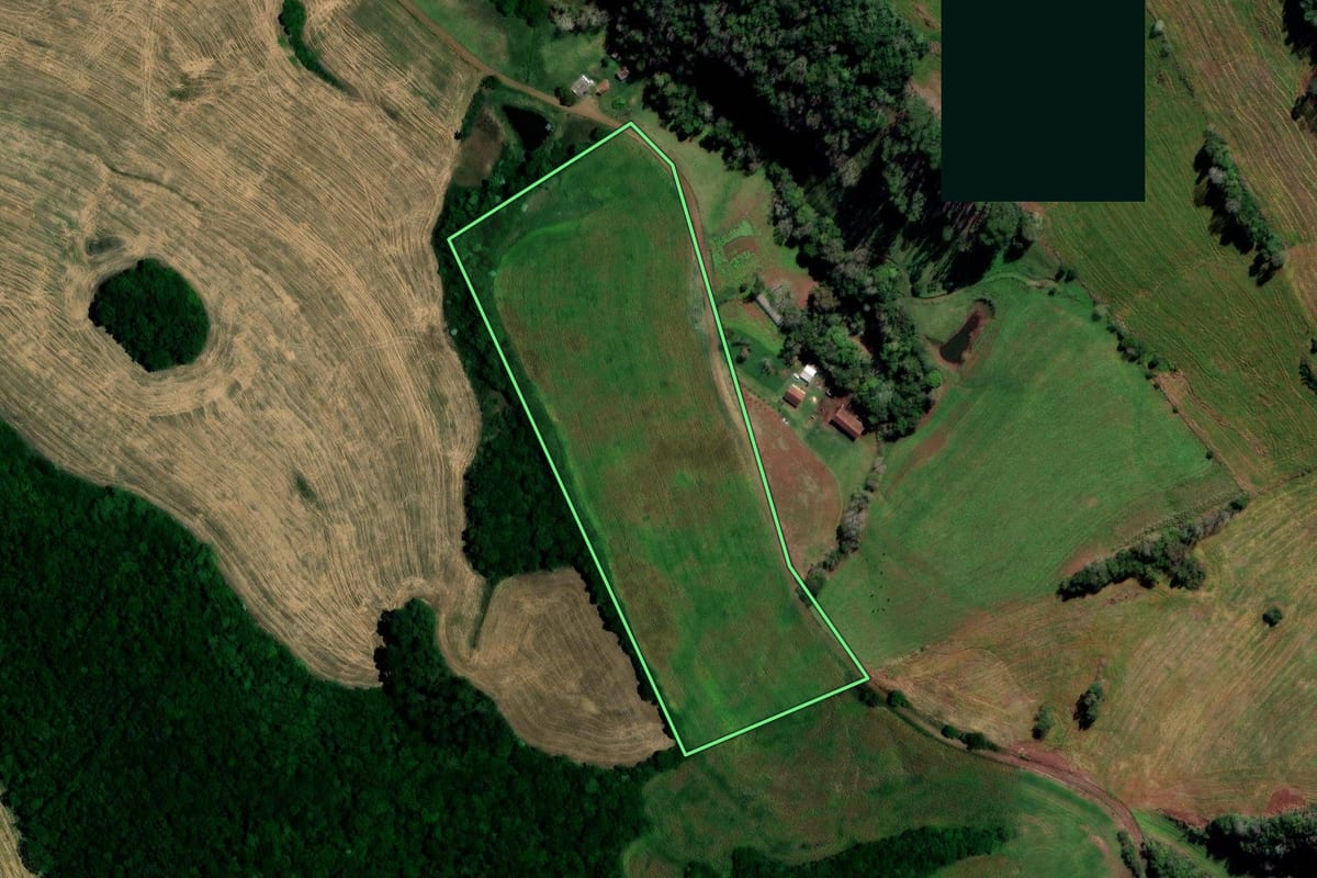 Imagem de satélite do imóvel rural em Cerro Grande (RS), com o contorno declarado no CAR desenhado por cima.