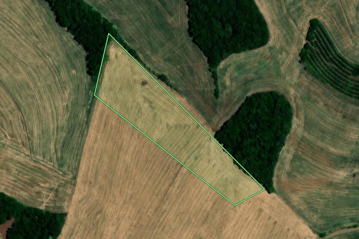 Imagem de satélite do imóvel rural em Cerro Grande (RS), com o contorno declarado no CAR desenhado por cima.