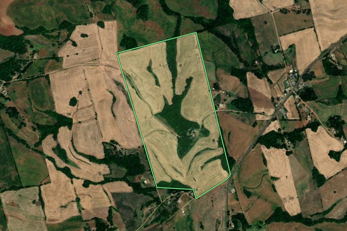 Imagem de satélite do imóvel rural em Cerro Grande (RS), com o contorno declarado no CAR desenhado por cima.