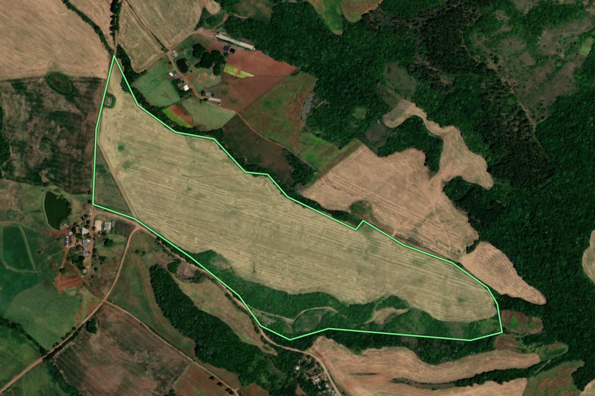 Imagem de satélite do imóvel rural em Cerro Grande (RS), com o contorno declarado no CAR desenhado por cima.