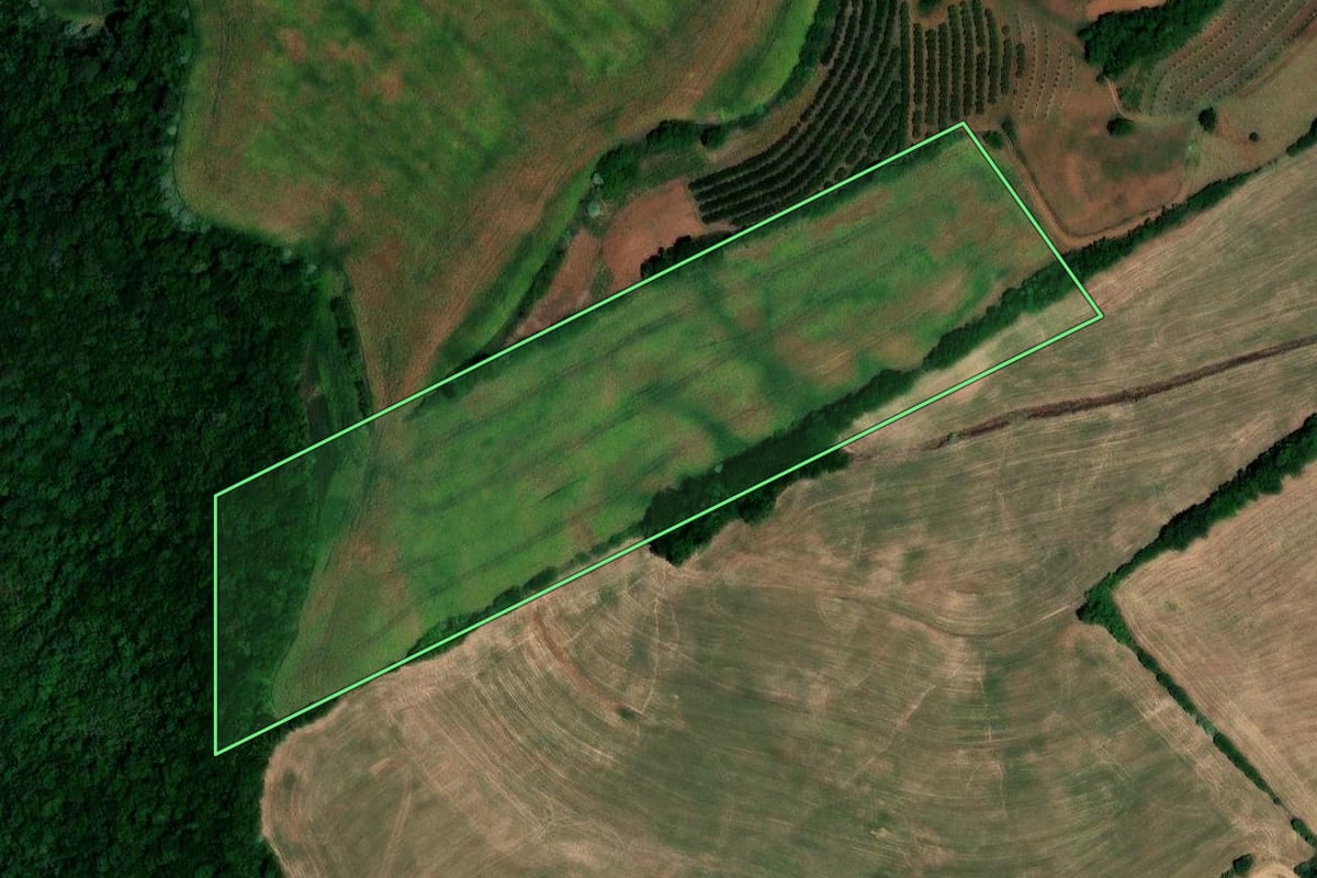Imagem de satélite do imóvel rural em Cerro Grande (RS), com o contorno declarado no CAR desenhado por cima.
