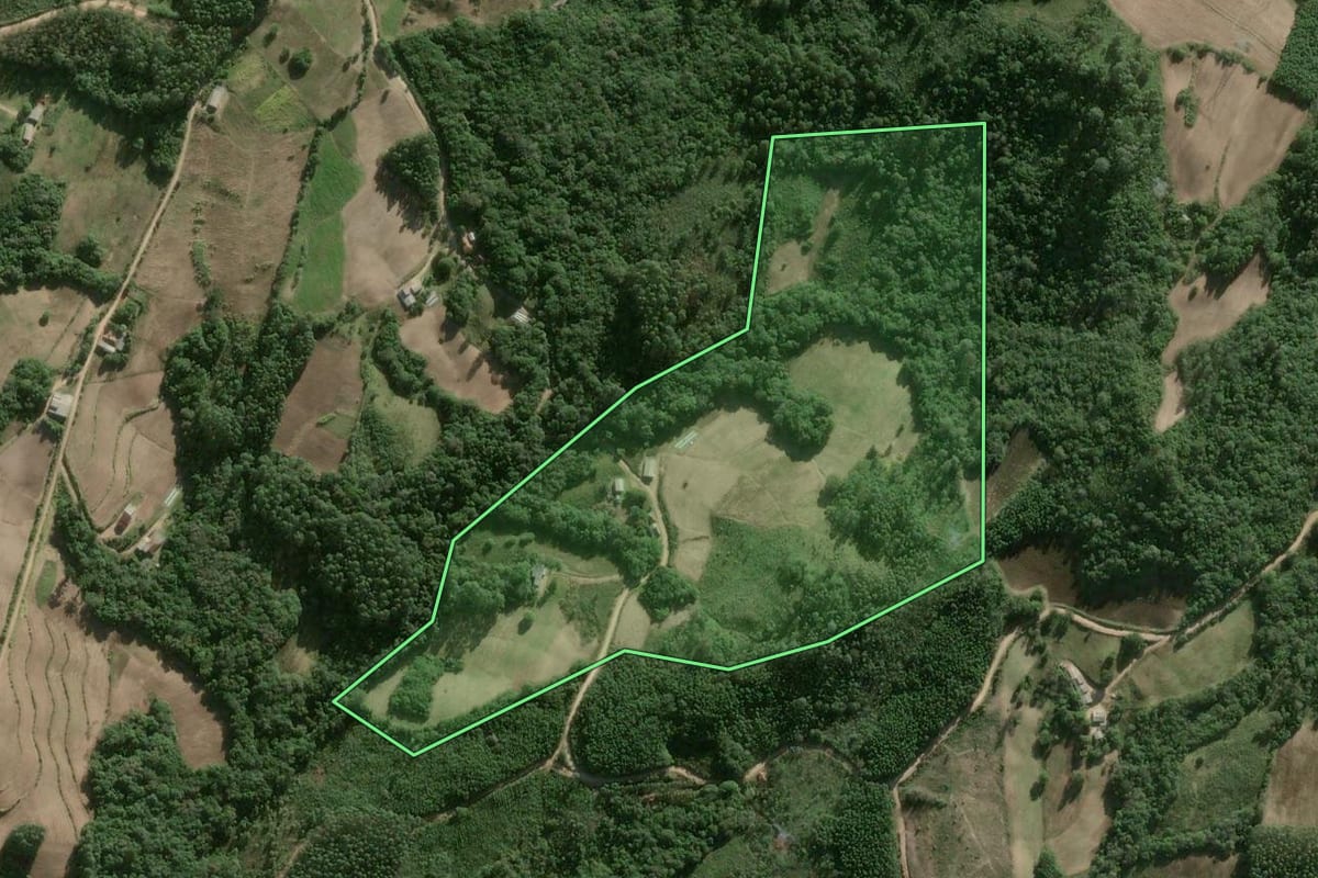 Imagem de satélite do imóvel rural em Cerro Grande do Sul (RS), com o contorno declarado no CAR desenhado por cima.