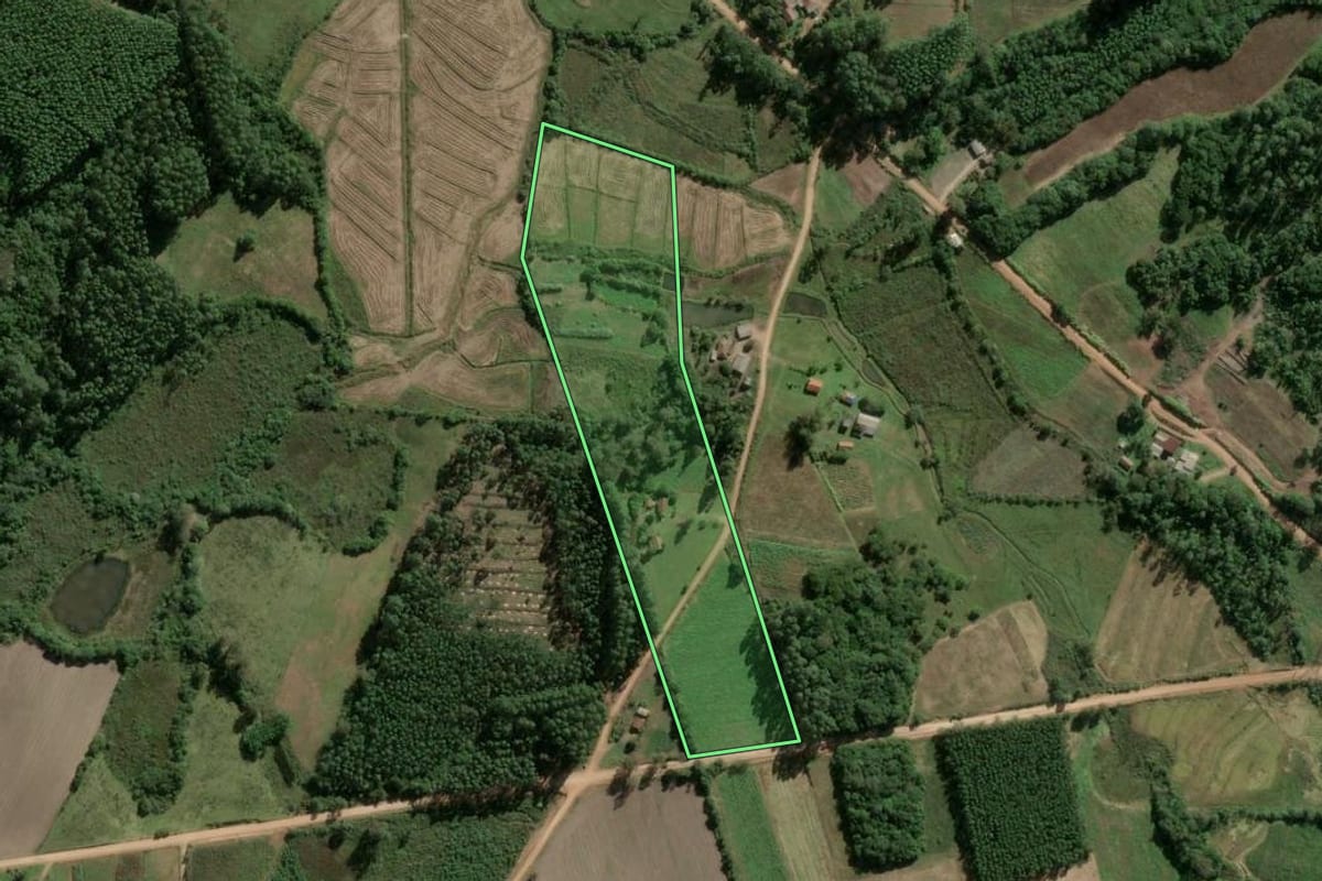 Imagem de satélite do imóvel rural em Cerro Grande do Sul (RS), com o contorno declarado no CAR desenhado por cima.