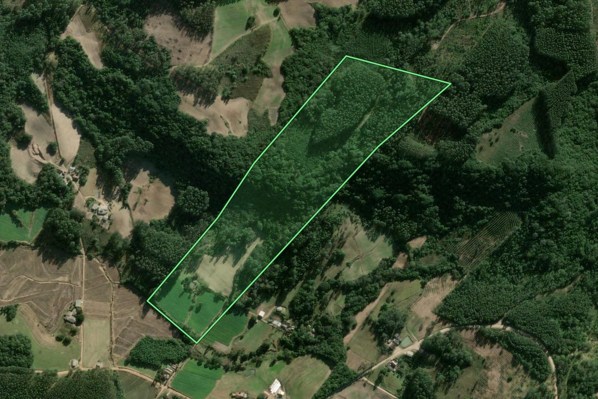 Imagem de satélite do imóvel rural em Cerro Grande do Sul (RS), com o contorno declarado no CAR desenhado por cima.
