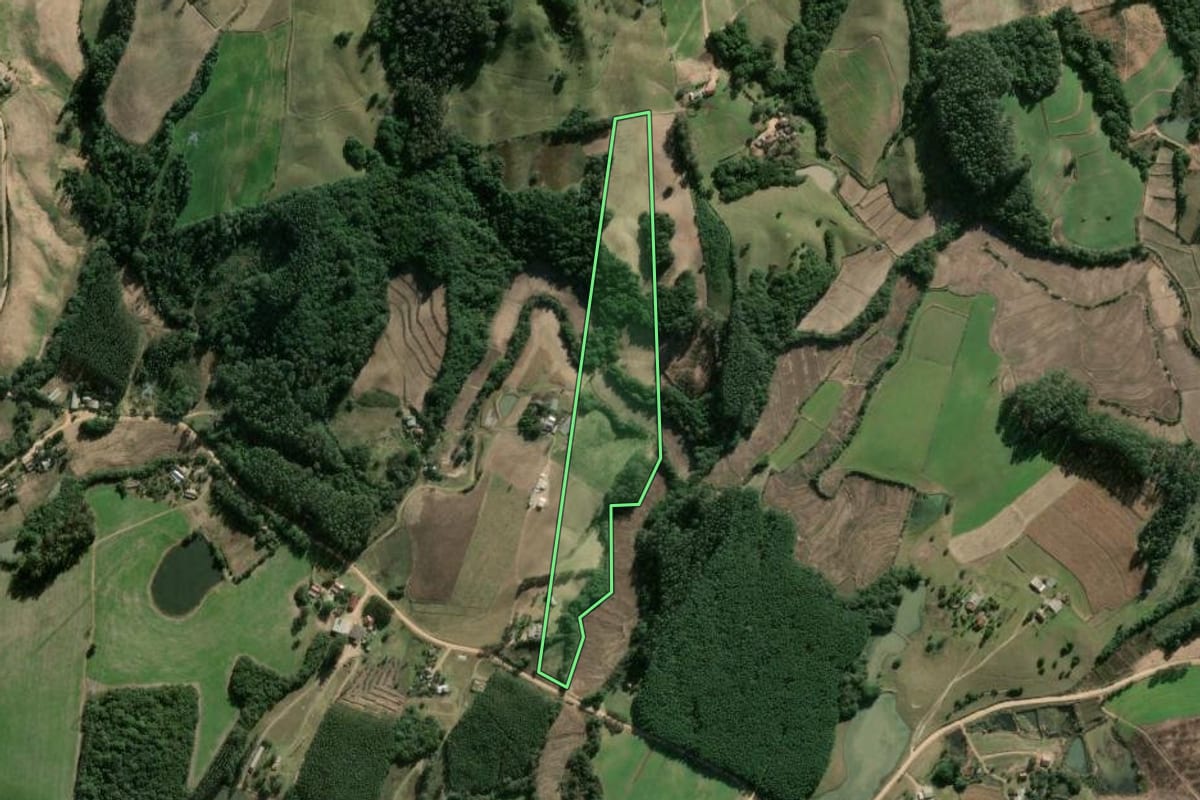 Imagem de satélite do imóvel rural em Cerro Grande do Sul (RS), com o contorno declarado no CAR desenhado por cima.