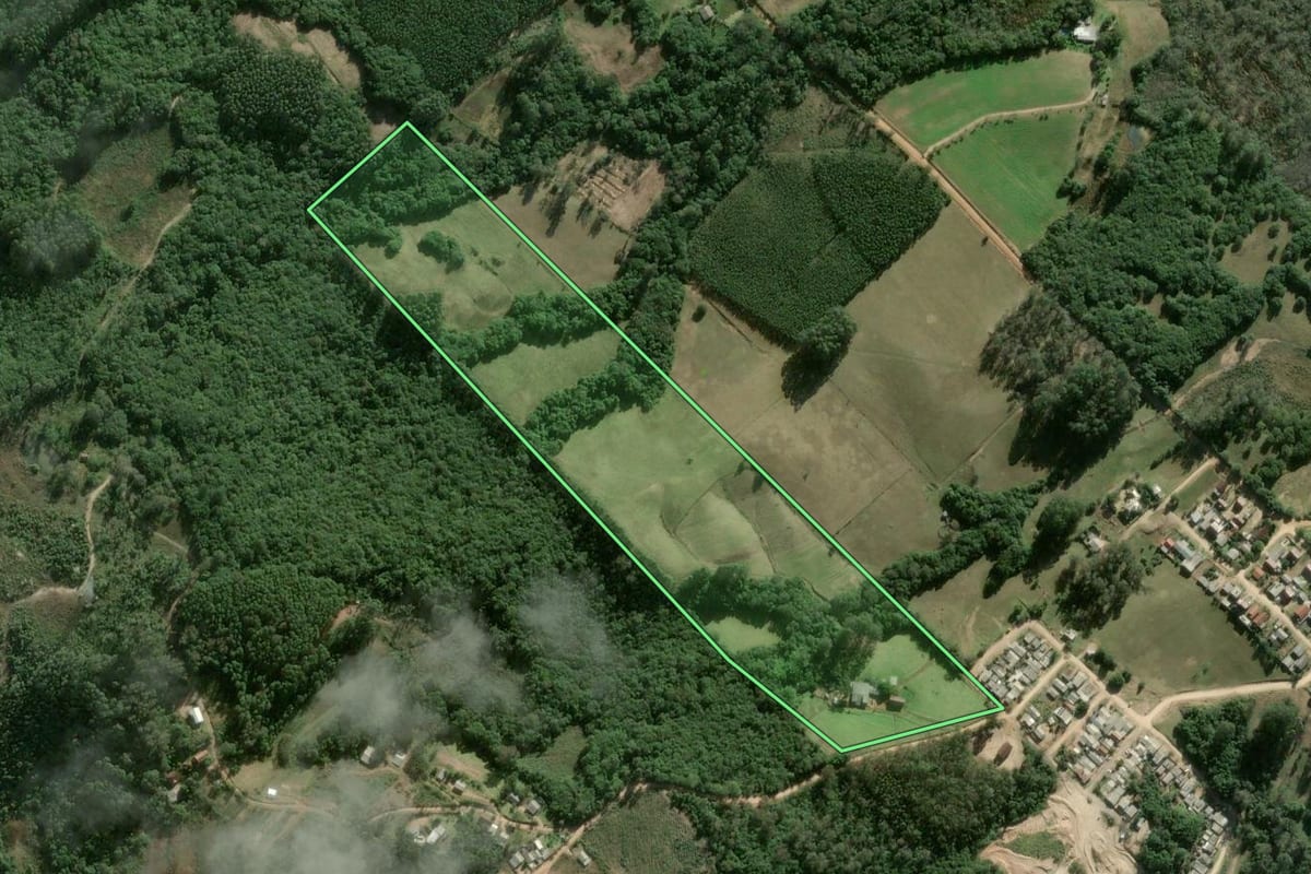 Imagem de satélite do imóvel rural em Cerro Grande do Sul (RS), com o contorno declarado no CAR desenhado por cima.
