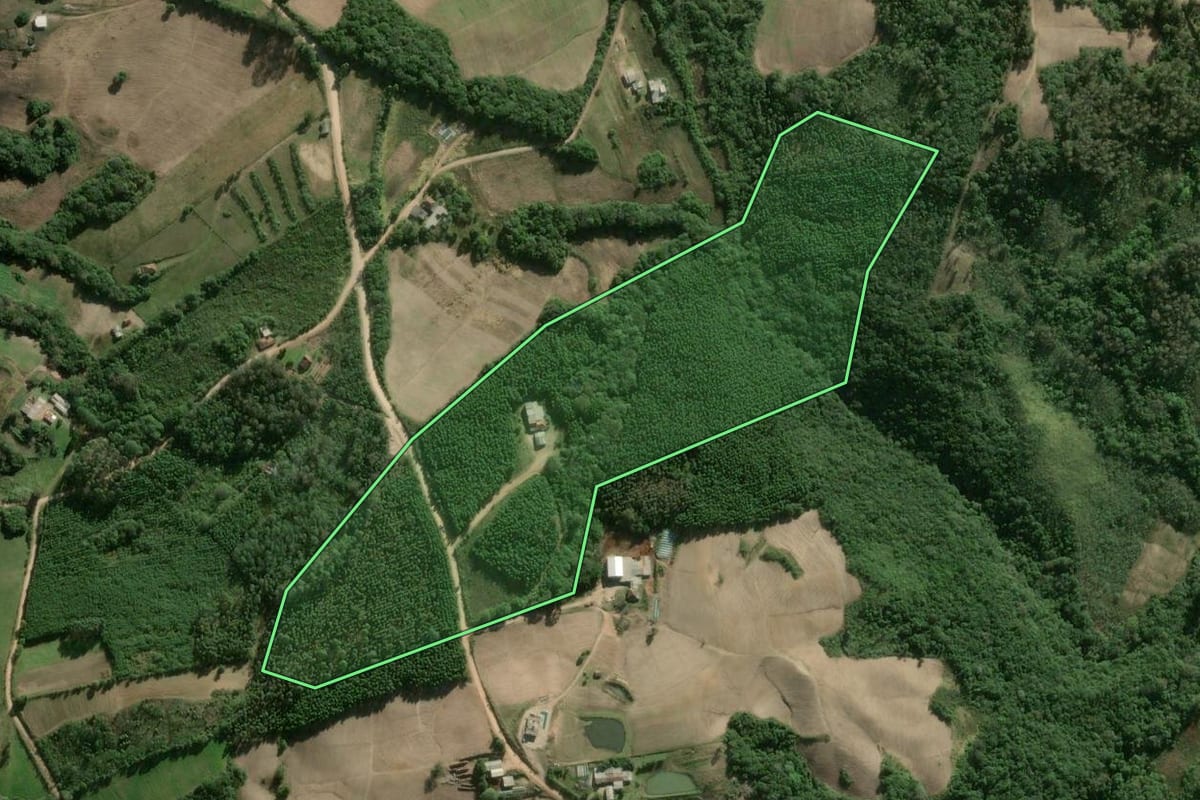 Imagem de satélite do imóvel rural em Cerro Grande do Sul (RS), com o contorno declarado no CAR desenhado por cima.