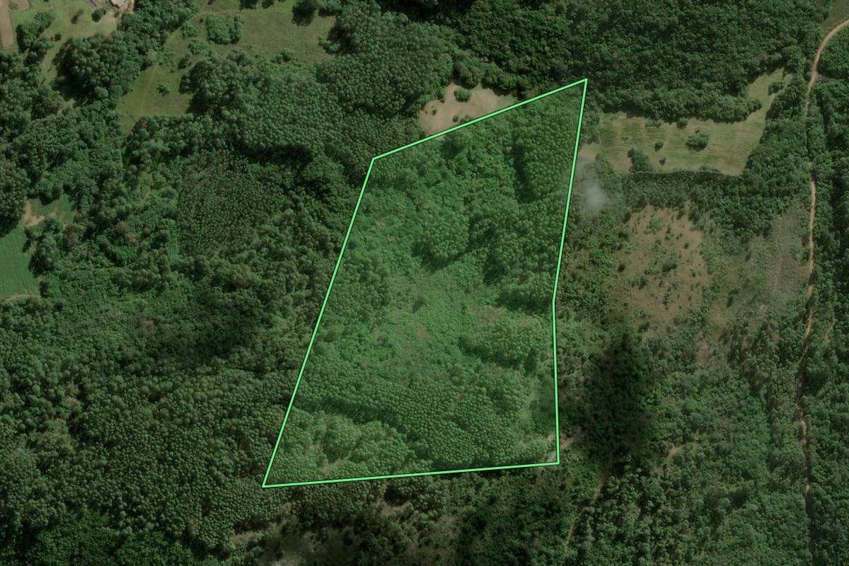 Imagem de satélite do imóvel rural em Cerro Grande do Sul (RS), com o contorno declarado no CAR desenhado por cima.