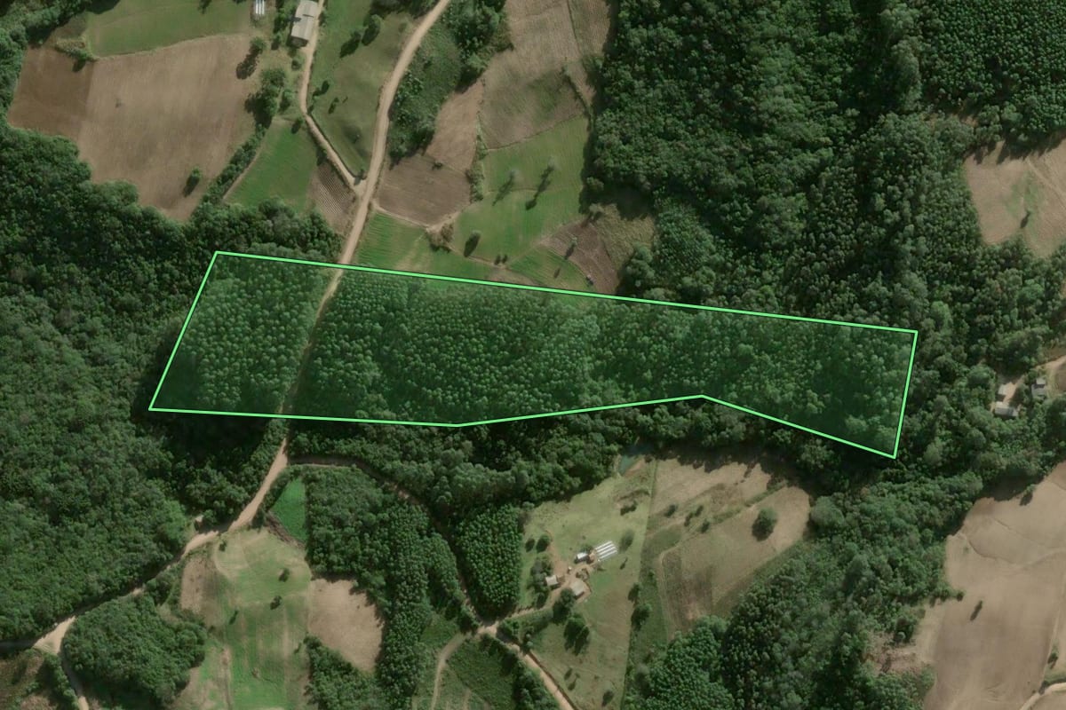Imagem de satélite do imóvel rural em Cerro Grande do Sul (RS), com o contorno declarado no CAR desenhado por cima.