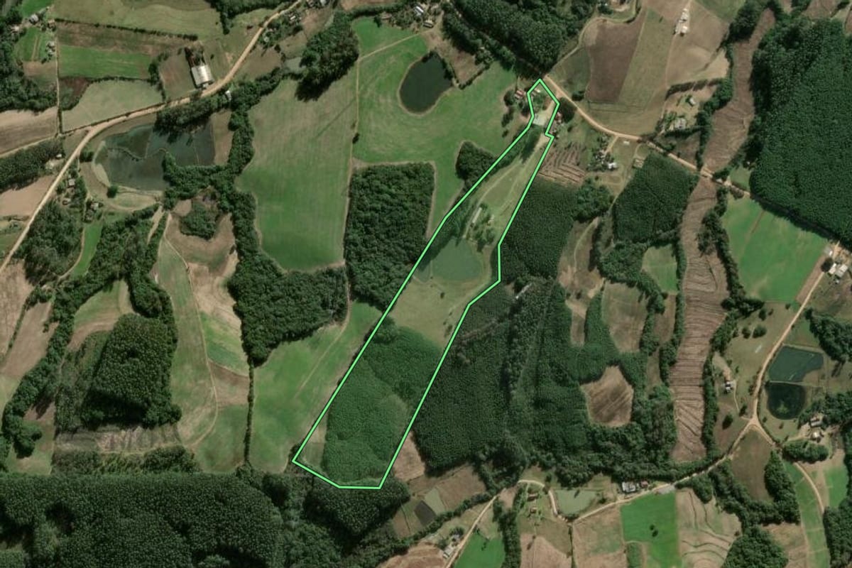 Imagem de satélite do imóvel rural em Cerro Grande do Sul (RS), com o contorno declarado no CAR desenhado por cima.