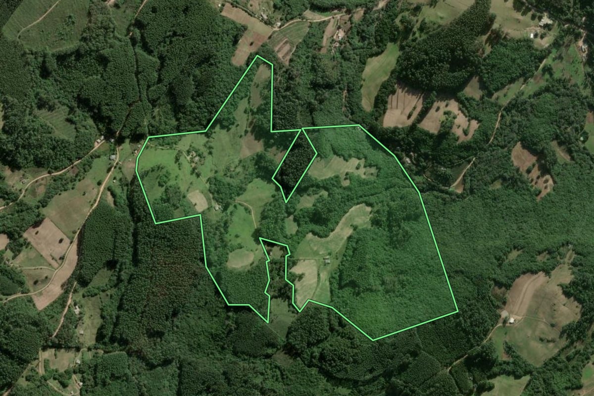 Imagem de satélite do imóvel rural em Cerro Grande do Sul (RS), com o contorno declarado no CAR desenhado por cima.