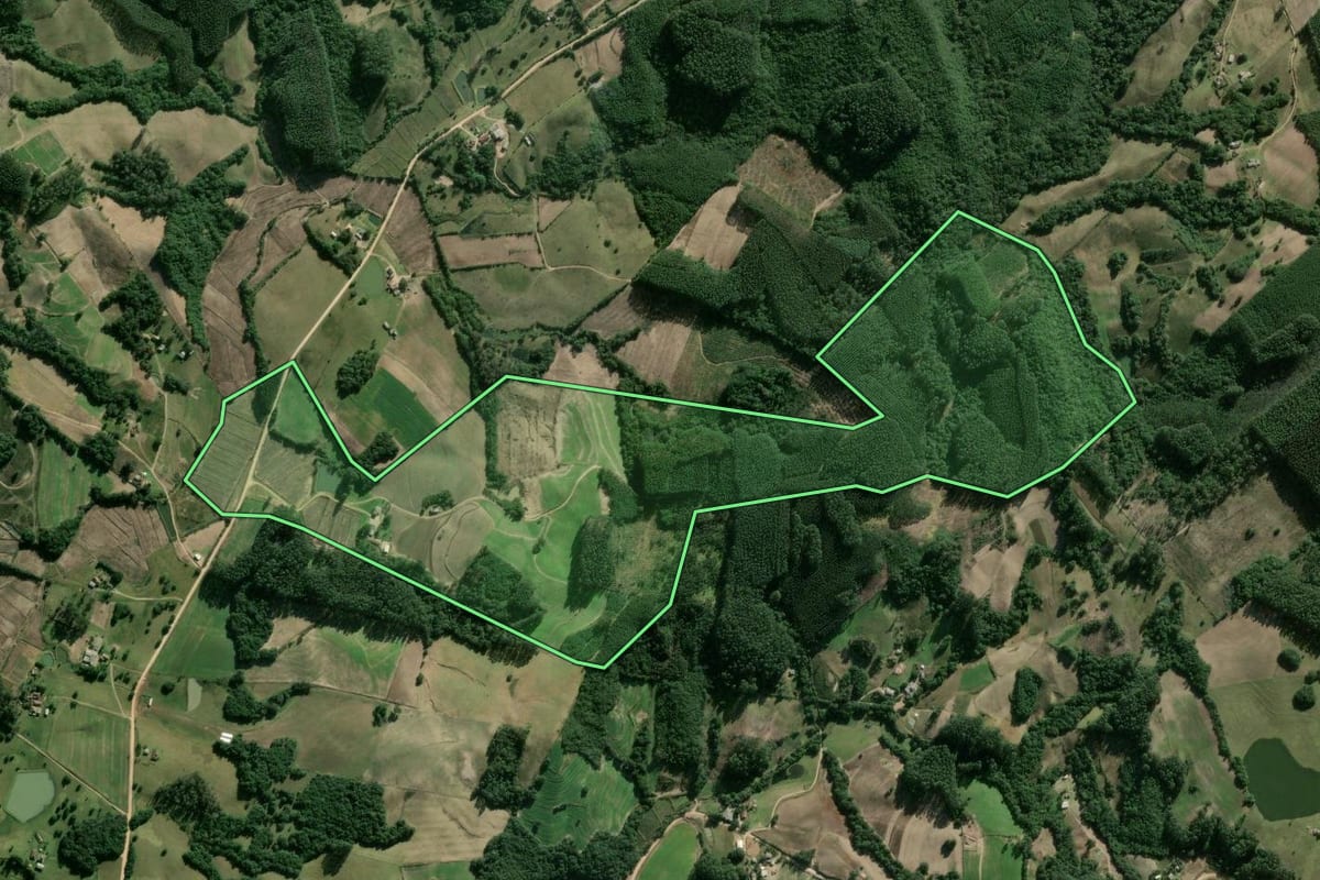 Imagem de satélite do imóvel rural em Cerro Grande do Sul (RS), com o contorno declarado no CAR desenhado por cima.