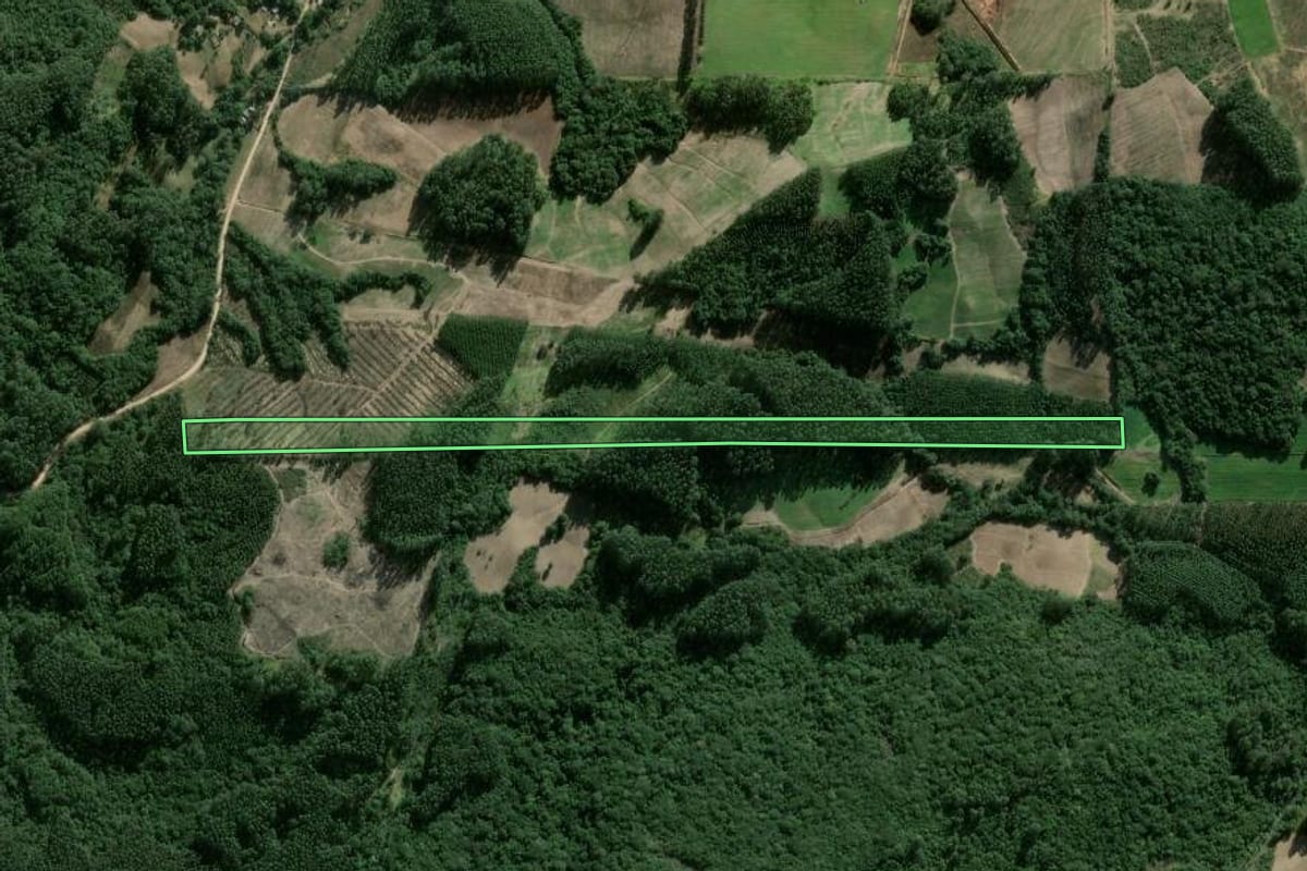 Imagem de satélite do imóvel rural em Cerro Grande do Sul (RS), com o contorno declarado no CAR desenhado por cima.