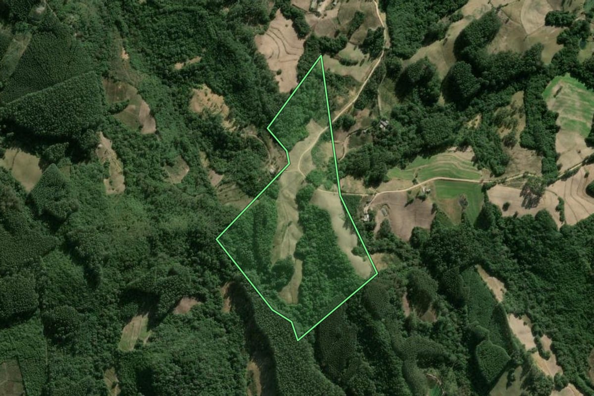 Imagem de satélite do imóvel rural em Cerro Grande do Sul (RS), com o contorno declarado no CAR desenhado por cima.