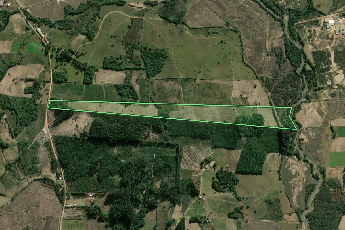 Imagem de satélite do imóvel rural em Cerro Grande do Sul (RS), com o contorno declarado no CAR desenhado por cima.