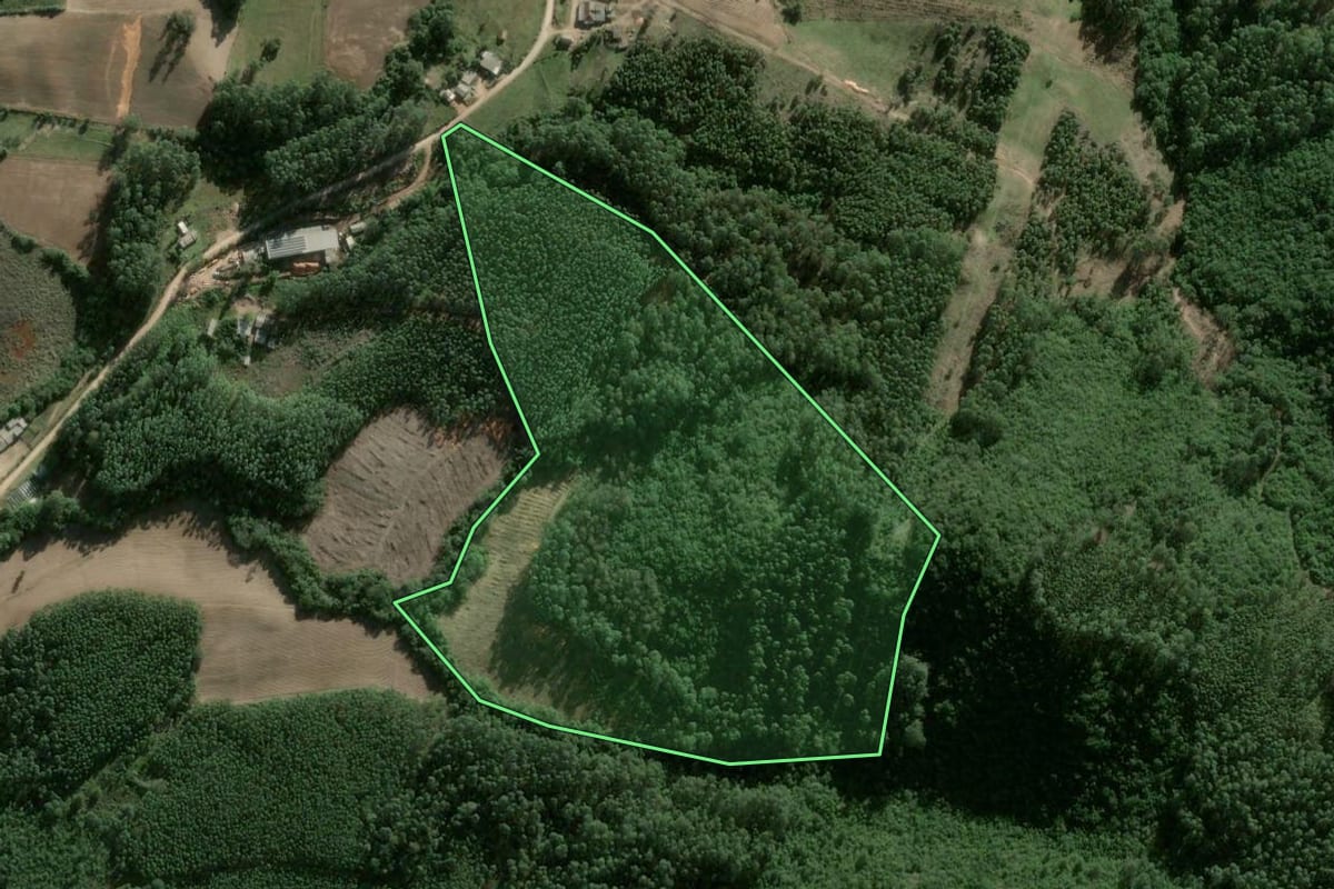 Imagem de satélite do imóvel rural em Cerro Grande do Sul (RS), com o contorno declarado no CAR desenhado por cima.