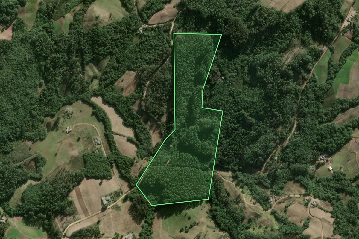Imagem de satélite do imóvel rural em Cerro Grande do Sul (RS), com o contorno declarado no CAR desenhado por cima.
