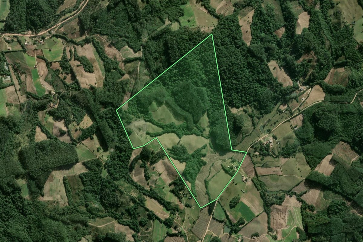 Imagem de satélite do imóvel rural em Cerro Grande do Sul (RS), com o contorno declarado no CAR desenhado por cima.