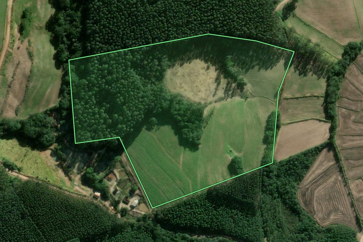 Imagem de satélite do imóvel rural em Cerro Grande do Sul (RS), com o contorno declarado no CAR desenhado por cima.