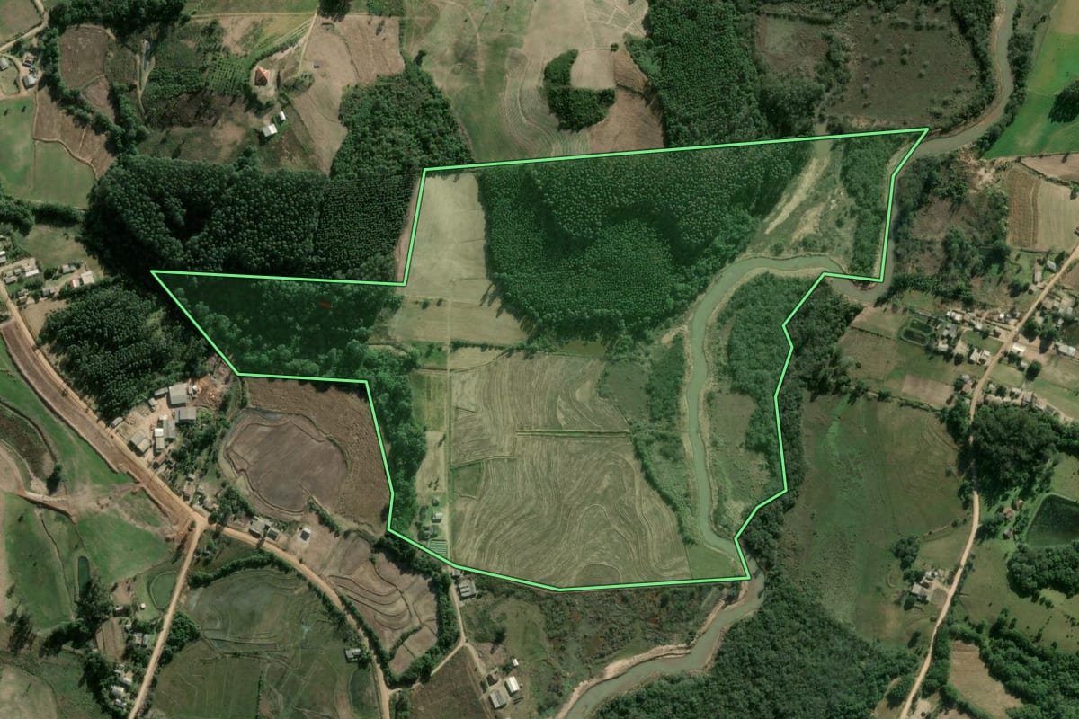 Imagem de satélite do imóvel rural em Cerro Grande do Sul (RS), com o contorno declarado no CAR desenhado por cima.